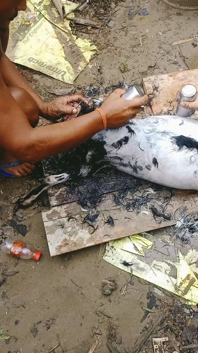 nepali cating