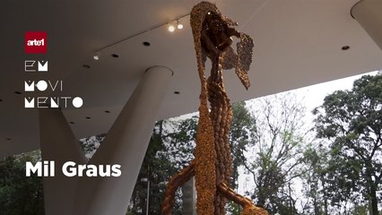 38º Panorama da Arte Brasileira ocupa o MAC-USP