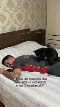 Cat Massages Man's Back