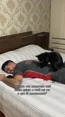 Cat Massages Man's Back
