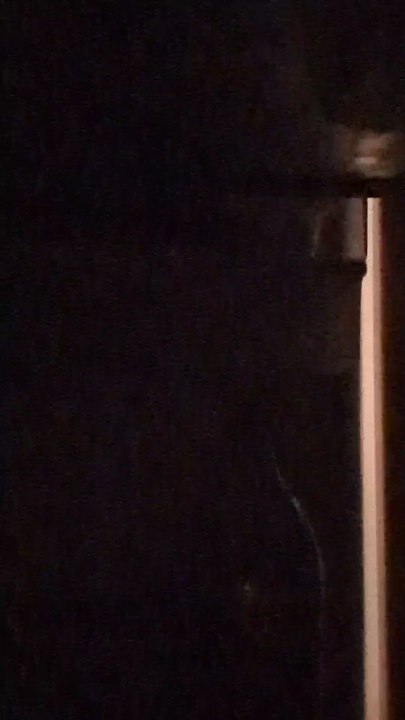 Et hop ça c'est pris discretos !!!#children #enfant #enfants #enfantsterribles #enfantsparents #betises #humour #humor #love #famille