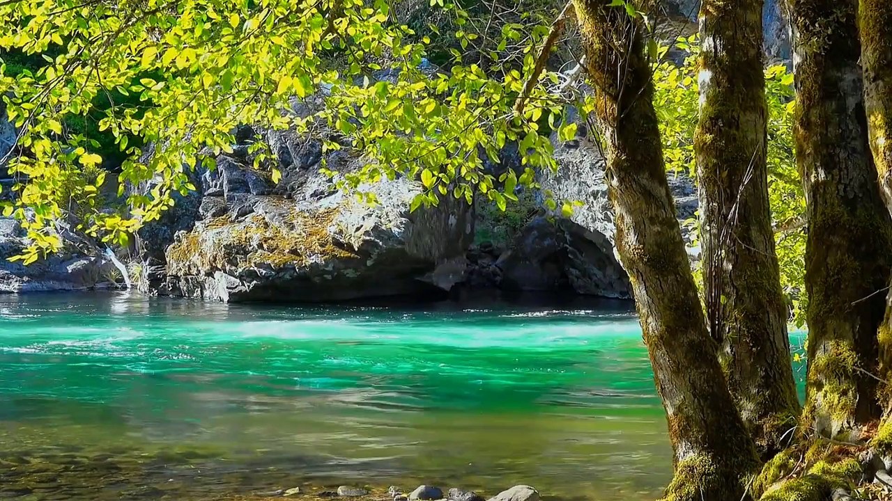 Âm nhạc thư giãn trị liệu với cảnh đẹp nhân gian - Nhẹ nhàng du dương khi trời vào thu