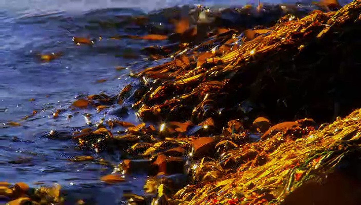 Sunrise Earth - Swallow Sea Cave