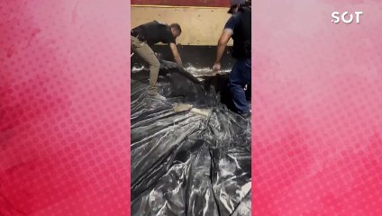 Polícia Federal apreende mais de 1,7 tonelada de maconha em fundo falso de caminhão em Céu Azul