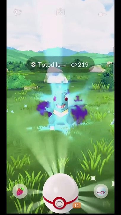 Pokémon GO-Shadow Totodile