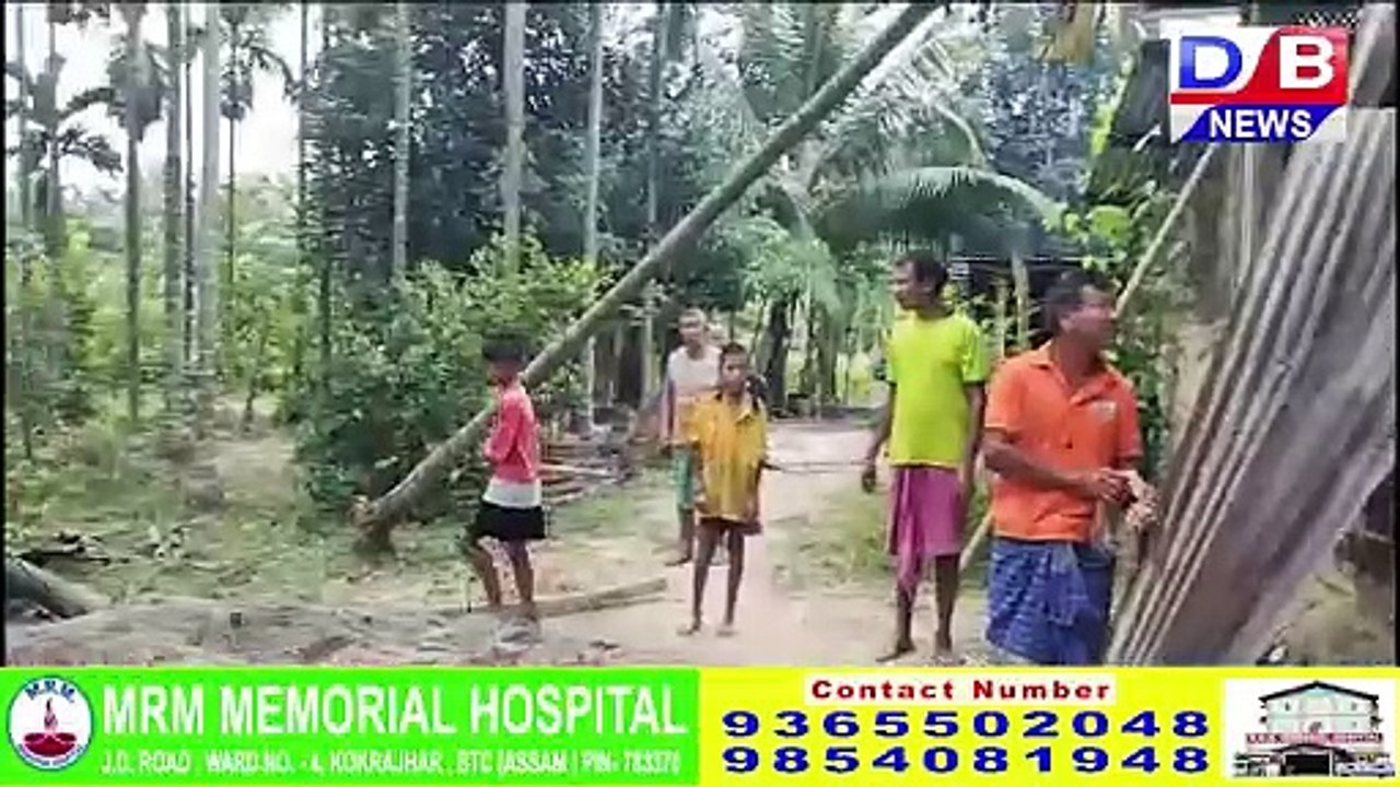 bodo news  //  तामुलपुरनि चेछापानि चरणजंगलाव हाग्रानि मैदेर आरो सुबुंनि गेजेराव दावहा ।