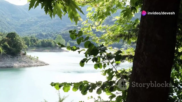 Discovering the Hidden Gems of Charvak Lake