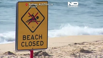 NO COMMENT: Una misteriosa contaminación por bolas negras en Sídney