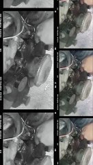 Hashtag Trends and Tips 📈