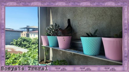 7/24  Sosyete Travel Official Audio 4Kᴴᴰ