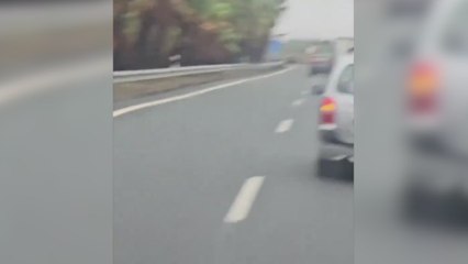 Graban el momento en el que dos coches asaltan un camión en plena autovía para robarlo