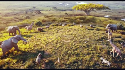 The Lion  King 2 | Shahrukh khan Dubbed |