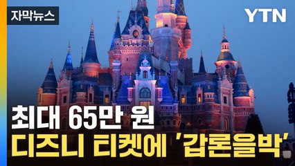 [자막뉴스] 최대 65만 원...디즈니가 출시한 '이 티켓' / YTN
