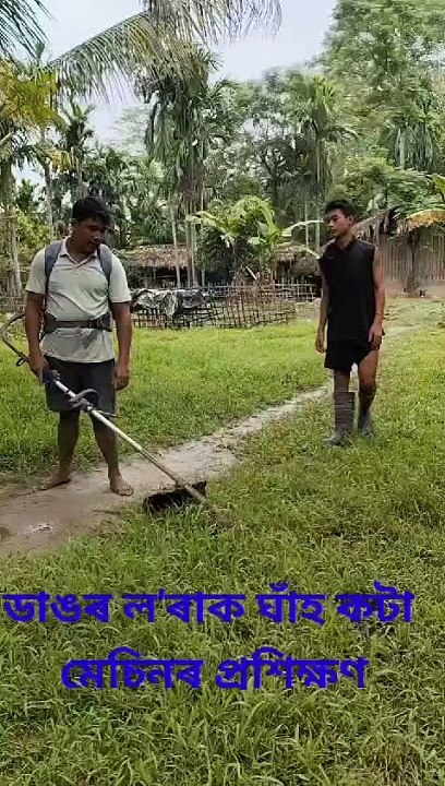 At the time of cutting the grass
