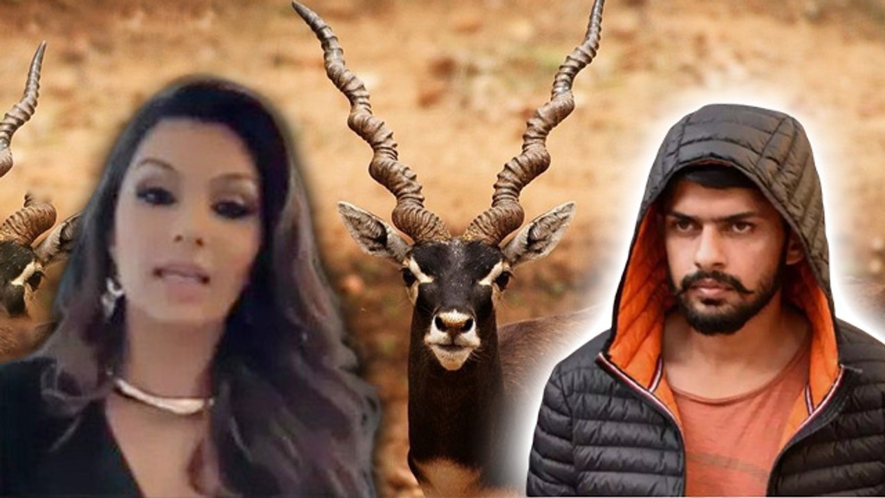 Salman Khan Ex Girlfriend Somy Ali Open Letter To Lawrence Bishnoi Post, Public Reaction Viral
