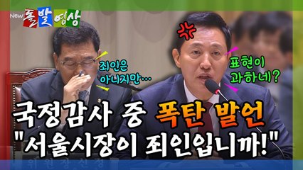 [돌발영상] 국정감사 중 폭탄발언 "서울시장이 죄인입니까!" / YTN