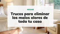 Trucos para eliminar los malos olores de toda tu casa