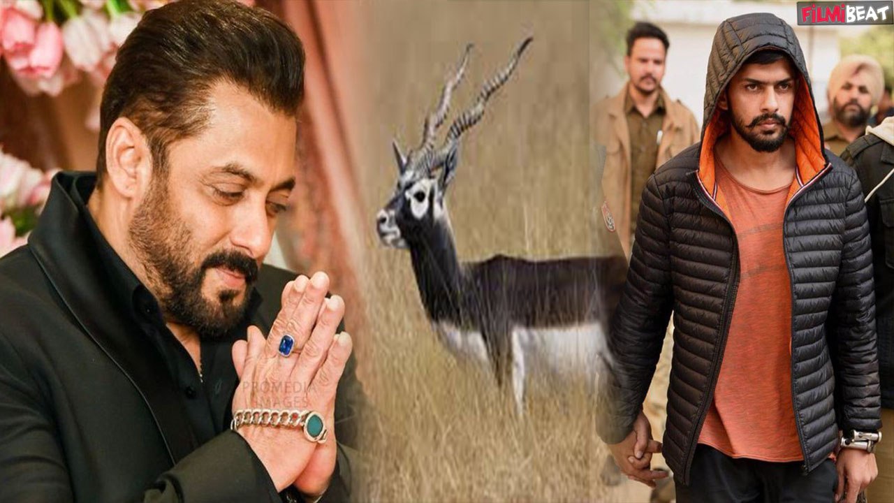 Salman Khan को माफ करने को तैयार Bishnoi समाज?, लेकिन Bollywood के भाईजान के आगे रखी ये शर्त