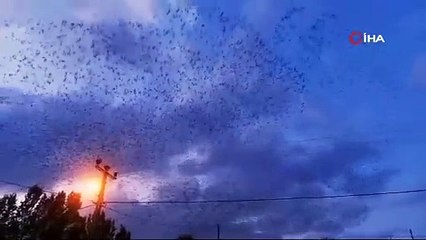 Bu manzaraya hayran kalmamak mümkün değil