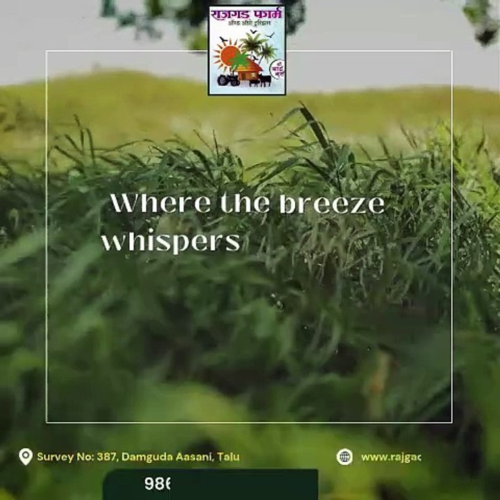 One Day Picnic Spot Near Pune One Day Trip Packages Near Pune