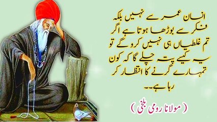 Jab Tumhare Rishtedar Tumhare Khilaf Bolne Lage To Samaj Jana Ke tum? | Molana Rumi Amazing quotes