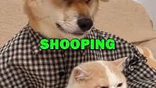 DOG AND CAT SHOP ONLINE! #pets #doglover #cat #dogs #cute