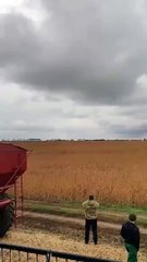 Télécharger la video: Cet avion fait un rase-motte impressionnant