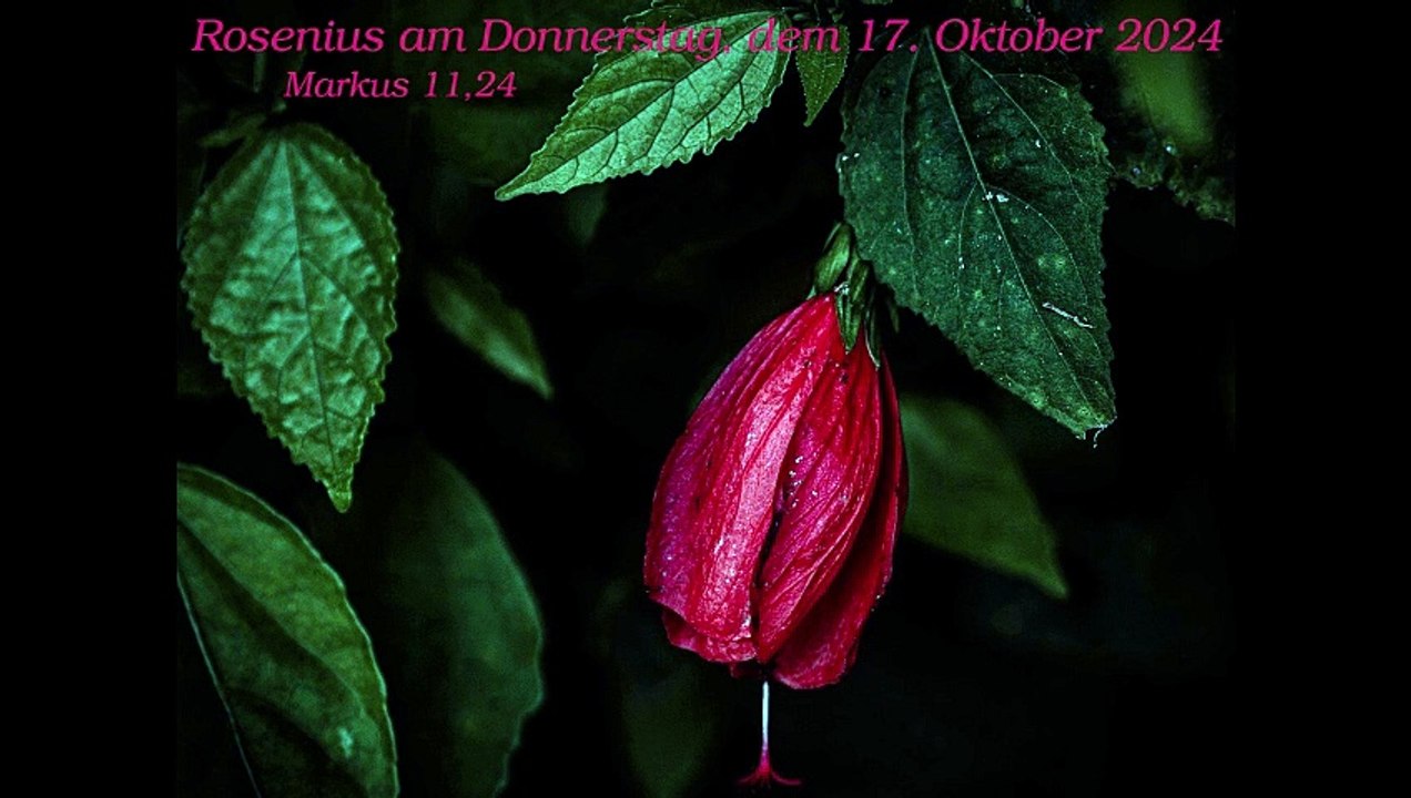Rosenius am Donnerstag, dem 17. Oktober 2024 zu Markus 11,24