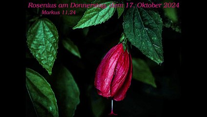 Rosenius am Donnerstag, dem 17. Oktober 2024 zu Markus 11,24