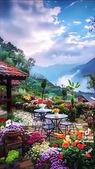 no tention #youtube #shortvedio #funny @ashley126