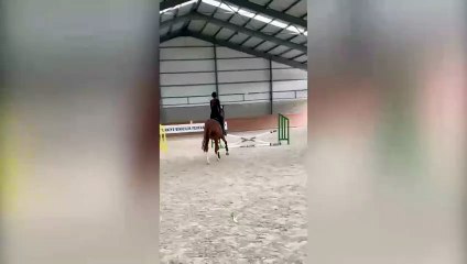 Danla Bilic ölümden döndü