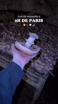 ‍VISITER LE PAYS DES CHAMPIGNONS‍