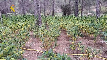 Скачать видео: Operación 'Shikoni'. Fuente: Guardia Civil.