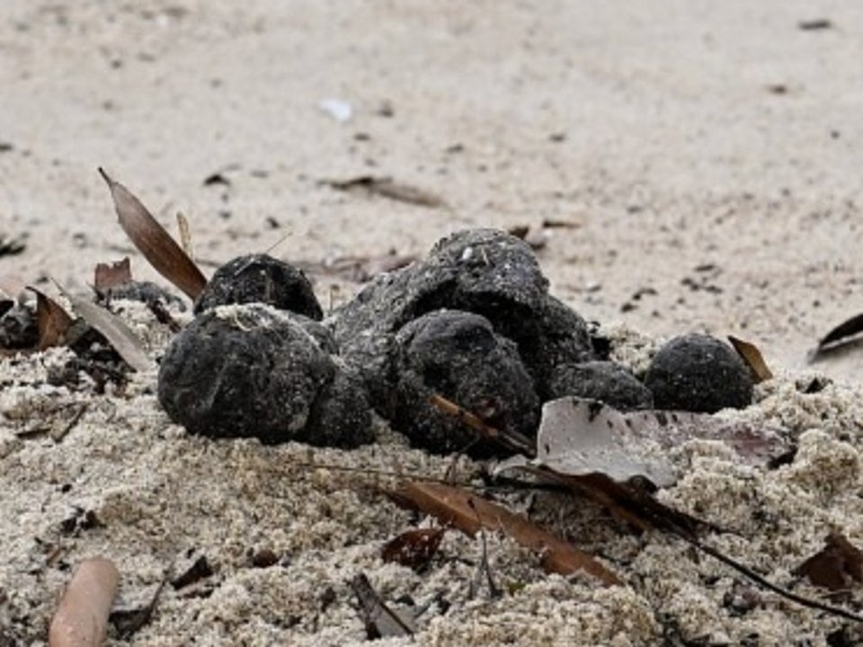 Beliebte Strände wegen mysteriösen Kugeln geschlossen