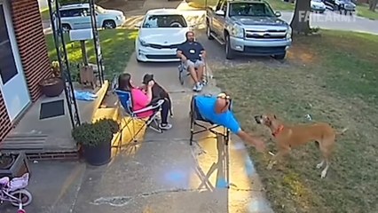 Best Fails of the Week _ Funny and Insane #funny #fails #laugh