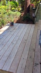 Woman hand feeds a friendly squirrel a French fry!