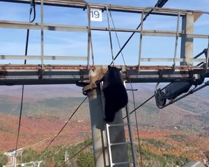 Bear Climbs Down Ski Lift Tower