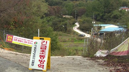 [경기] 아프리카돼지열병(ASF) 농가 정밀 검사 모두 '음성' / YTN