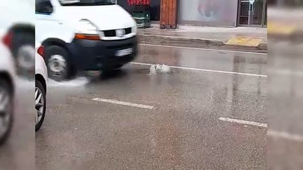 Sinoplular her yağışta aynı görüntülere şahit oluyor