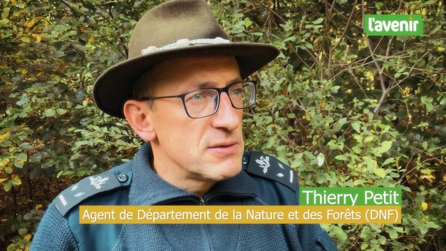 Saint-Hubert, Thierry Petit: la chasse silencieuse demande du calme et de l’attention.