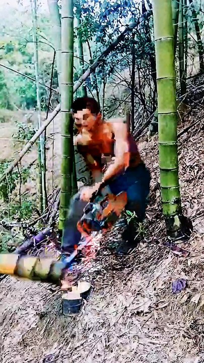 Chinese people use chainsaws to bamboo. Who can truly understand the hardships and sweat of these rural workers?