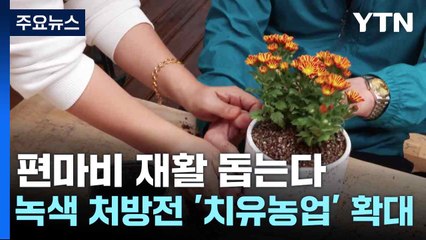 [녹색] 편마비 재활 돕는다...녹색 처방전 '치유농업' 확대 / YTN