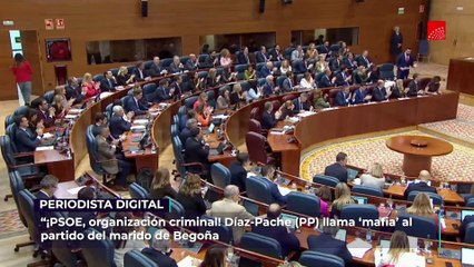“¡PSOE, organización CRIMINAL!” Díaz-Pache (PP) llama ‘MAFIA’ al partido del MARIDO de BEGOÑA