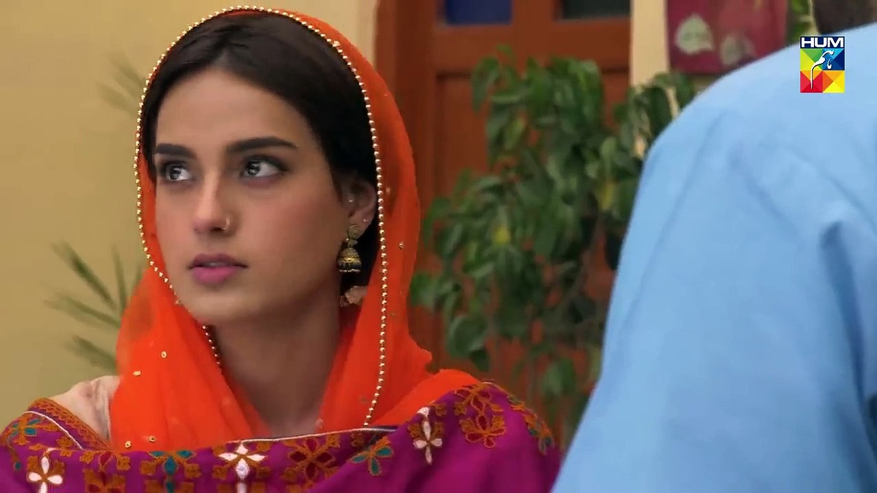Ranjha Ranjha Kardi Episode _23 HUM TV Drama 6 April 2019(720P_HD ...