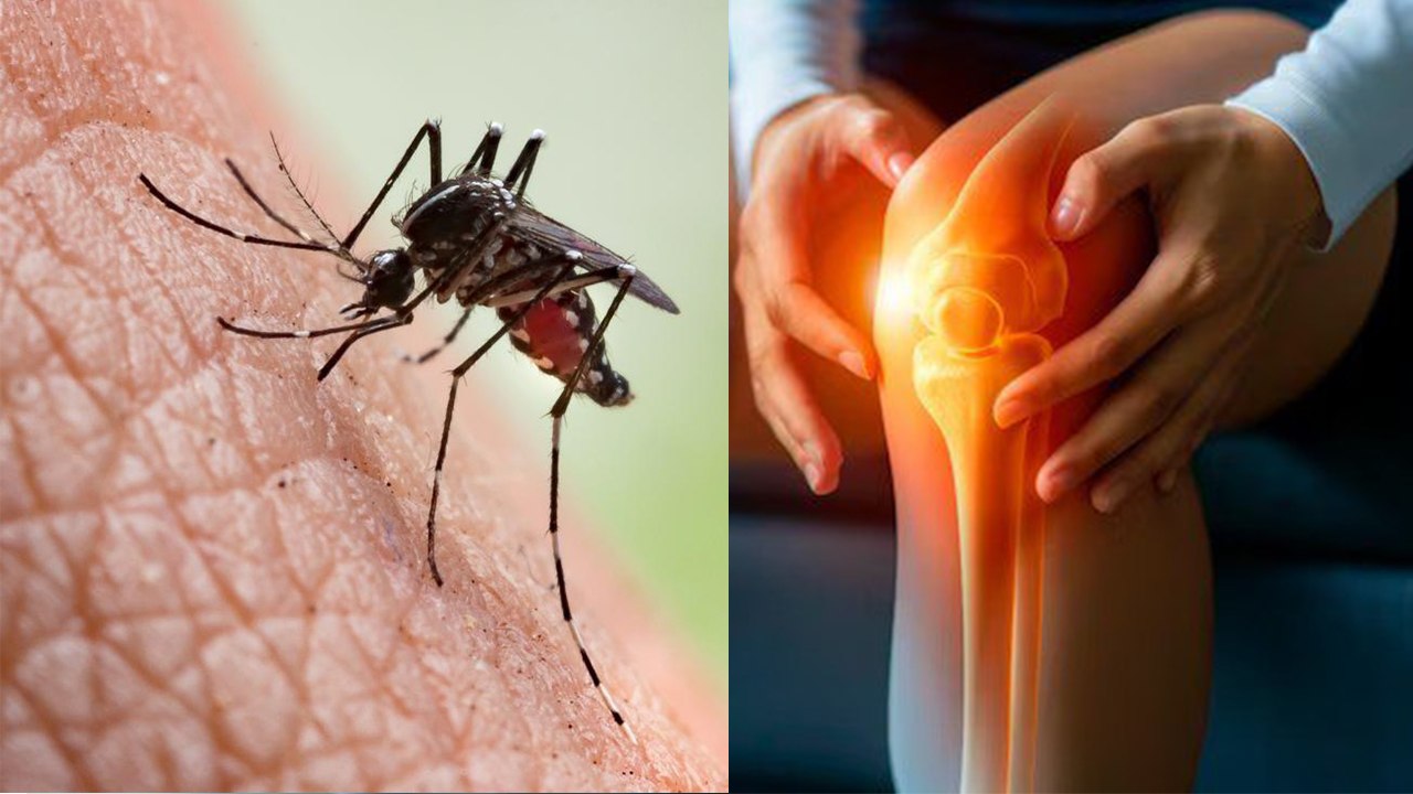 Langda Bukhar Kya Hota Hai, Causes, Symptoms & Treatment In Hindi | Boldsky