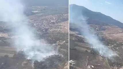 İzmir’in Dikili ilçesinde orman yangını