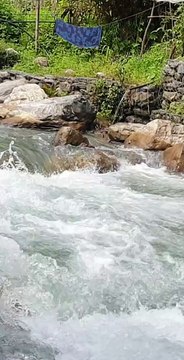 Cast Net Fishing in Nepal | Fishing Himalayan Trout in Nepal | Asala Fishing |