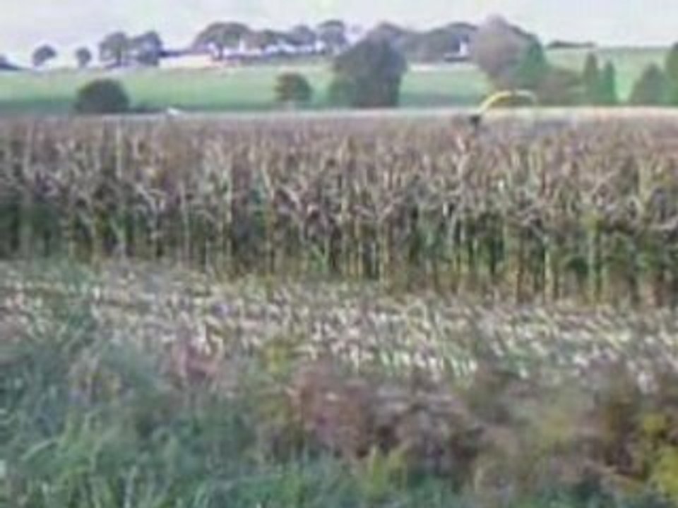 Ensilage de maïs._0002