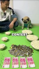 DOG AND MAN EATING CONTEST! #pets #doglover #funny #cute #dogs #dog