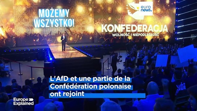Faut-il parler d'extrême droite, de droite radicale, de populisme ?